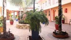 Un cortile con piante in vaso, una fontana al centro e un edificio con balconi.