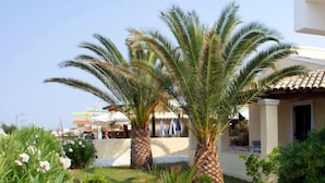 Property grounds - BeachFrontSalvanos (Corfu)