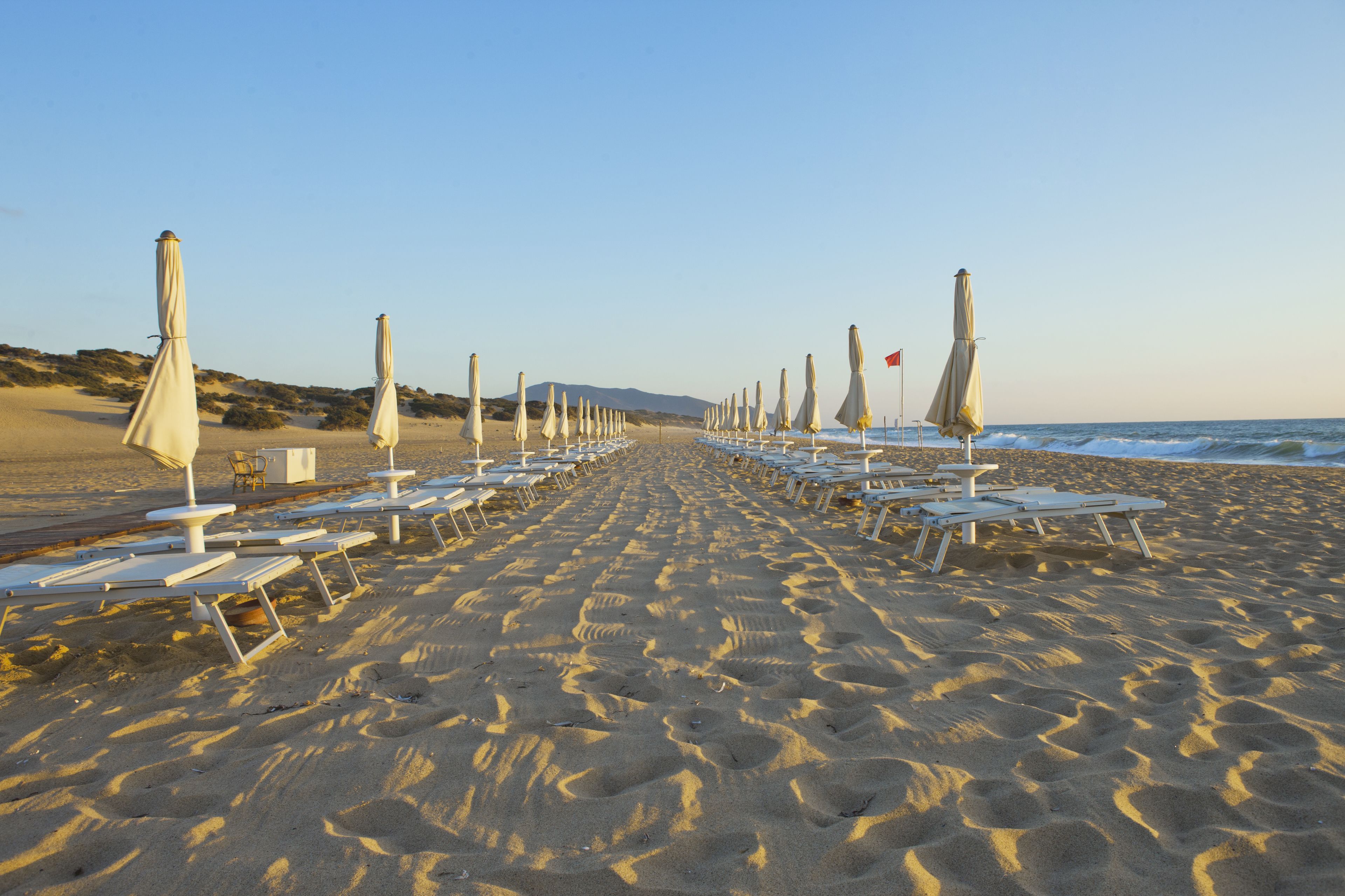 A beach with rows of white lounge chairs and umbrellas, a clear sky, and the ocean in the background.