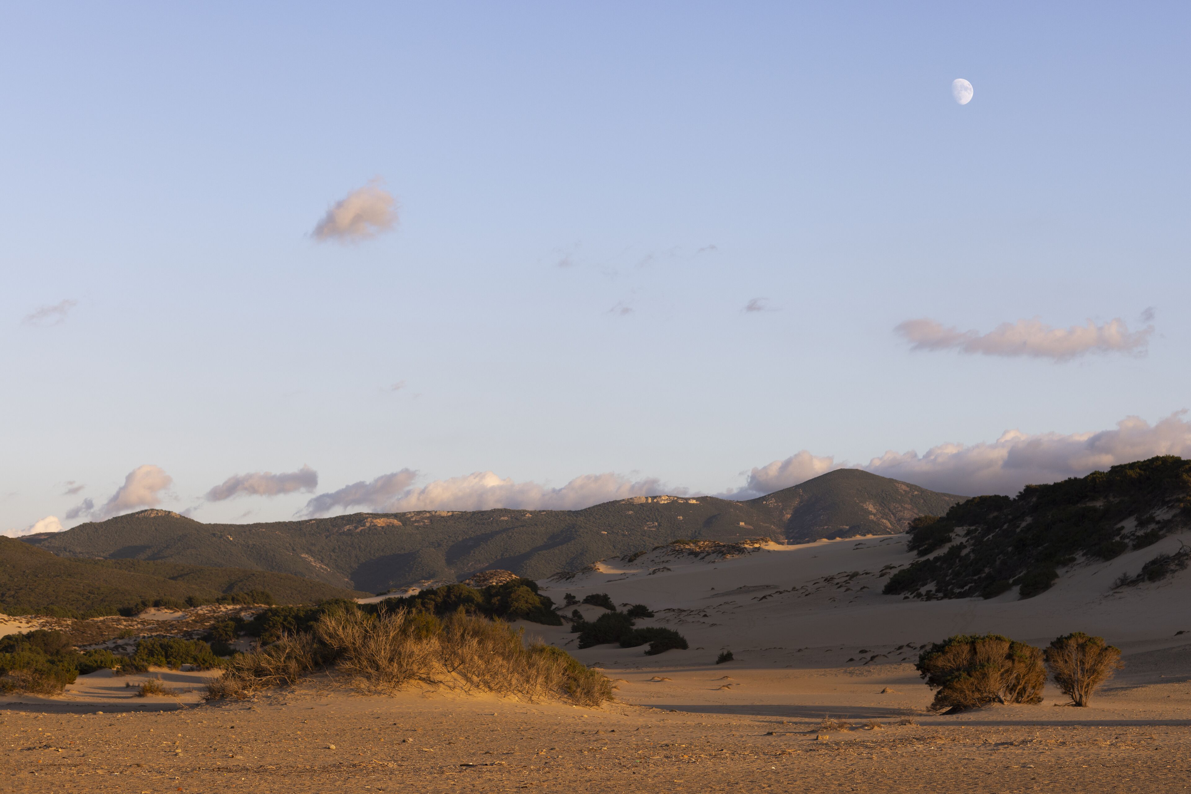 Foto - Hotel Le Dune Piscinas