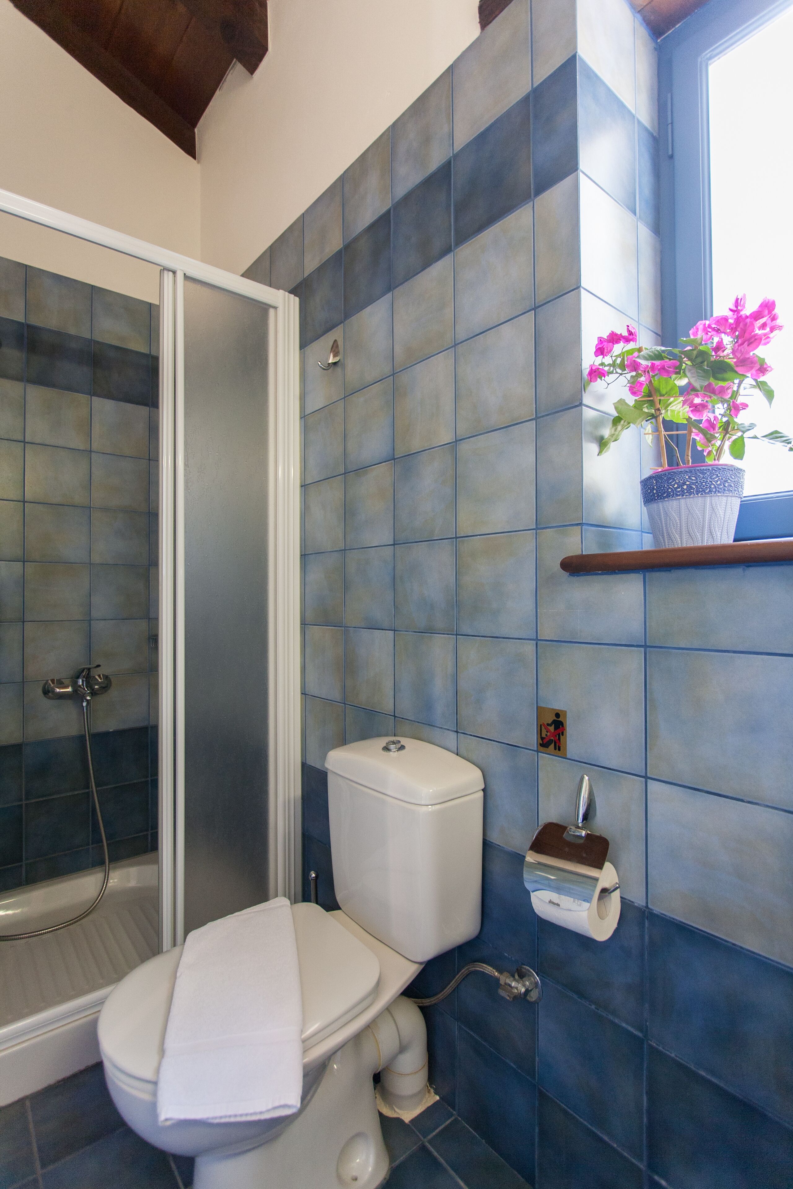 apartment, 1 bedroom (agapi) | bathroom | shower, free toiletries, hair dryer, towels