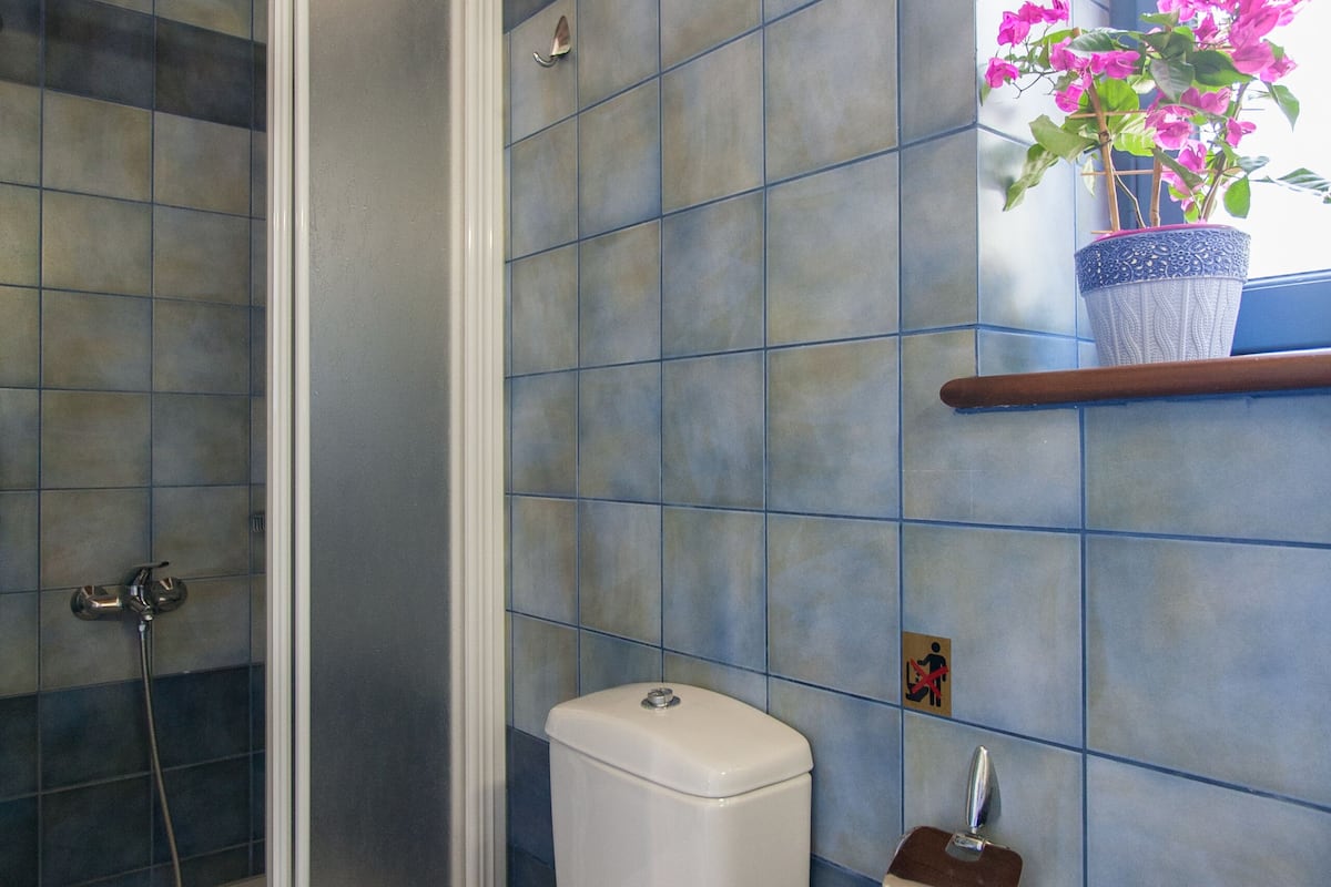 apartment, 1 bedroom (agapi) | bathroom | shower, free toiletries, hair dryer, towels