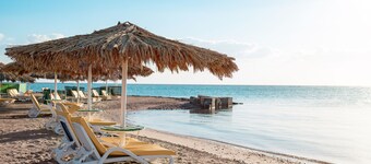  Lemon & Soul Makadi Garden