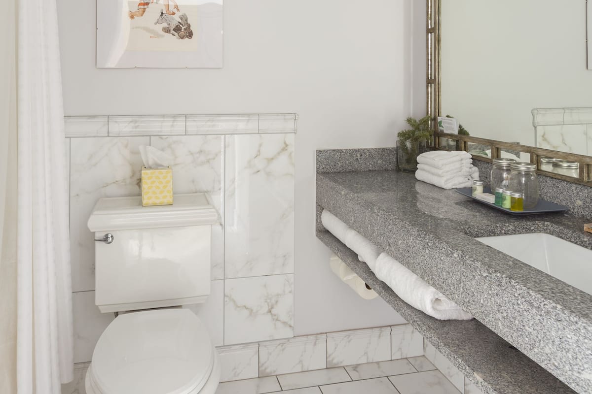 combined shower/bathtub, free toiletries, hair dryer, towels