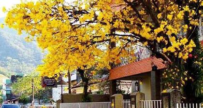 Pousada SĂŁo Paulo