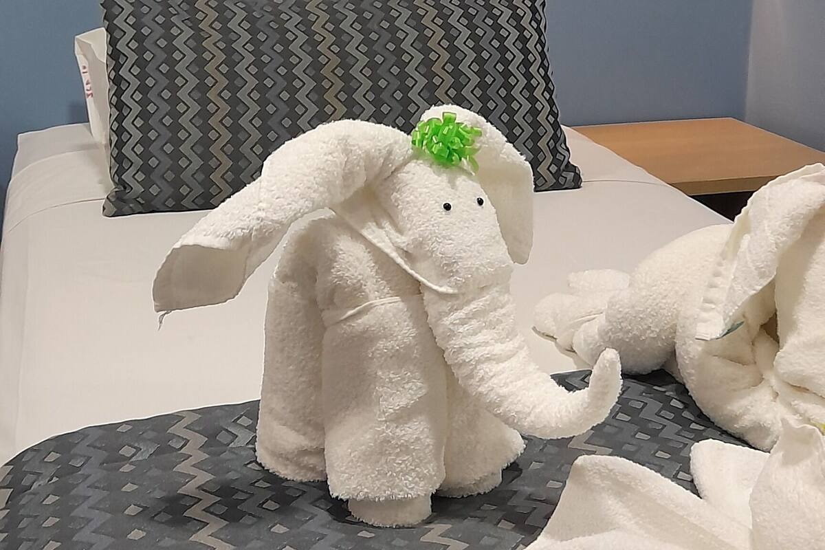 minibar, in-room safe, blackout curtains, free wifi