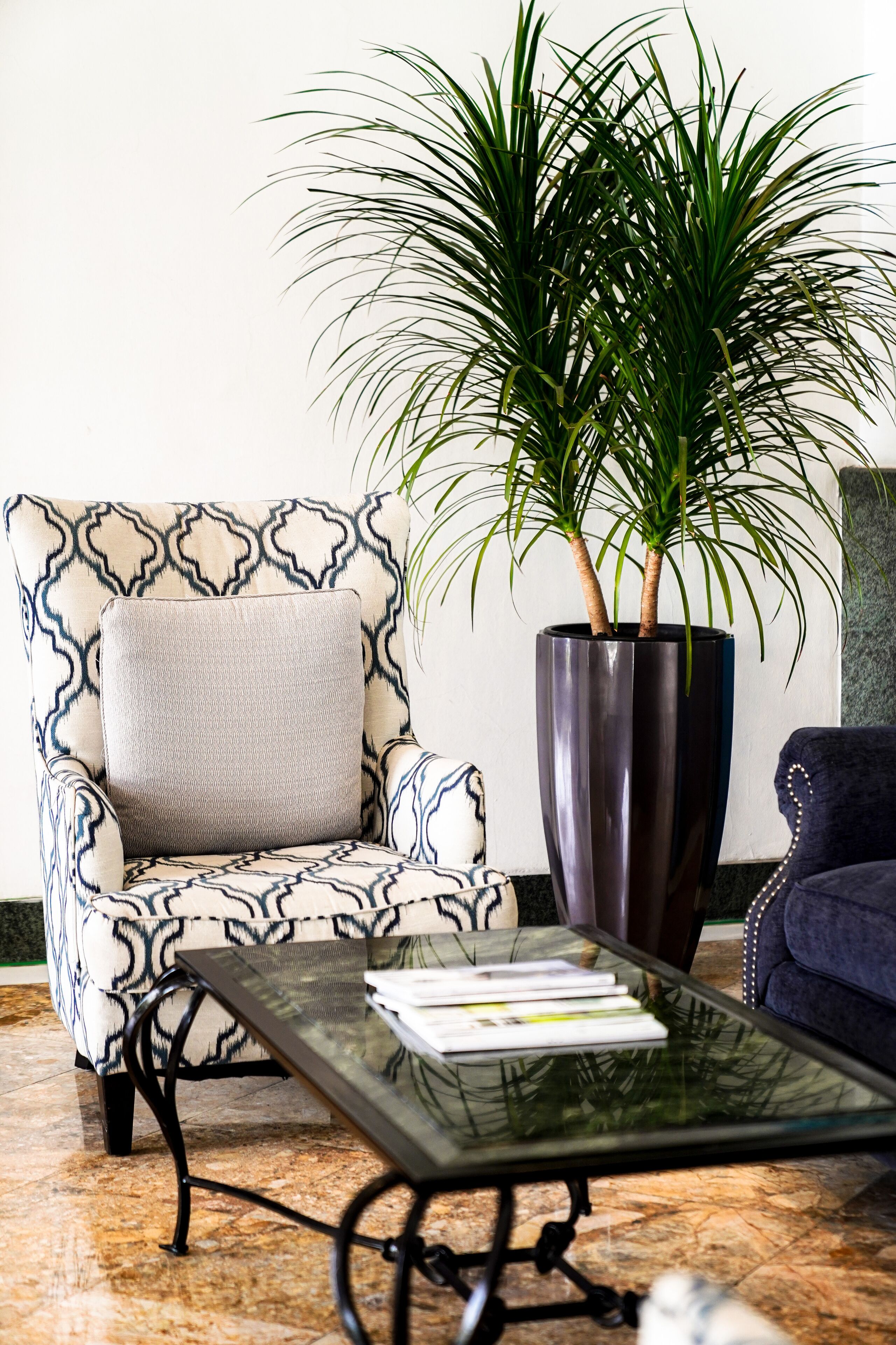 Una sala moderna con un sillón estampado, una mesa de centro de vidrio y una gran planta en maceta.