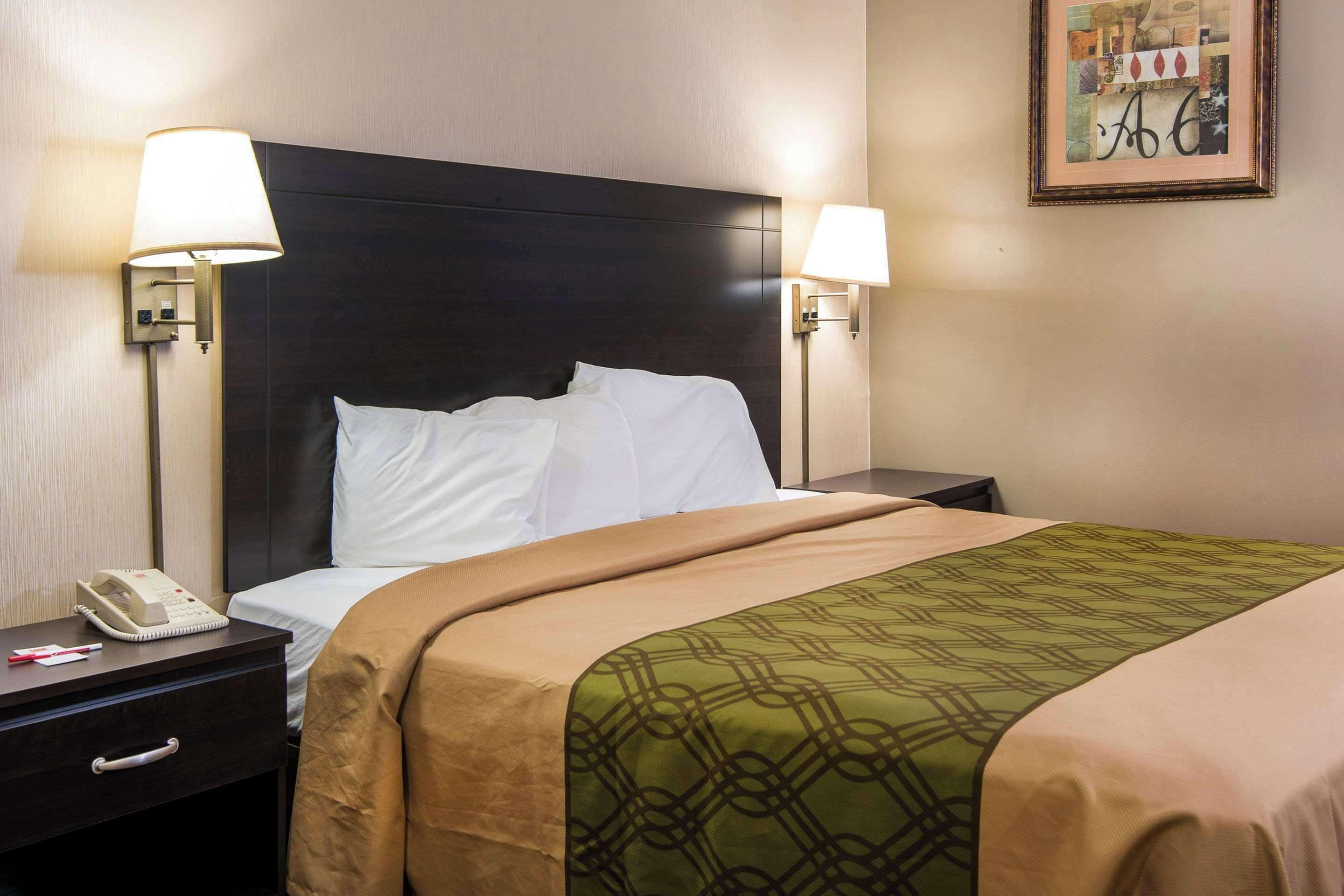 A hotel room with a large bed, two bedside lamps, a telephone, and a framed picture on the wall.