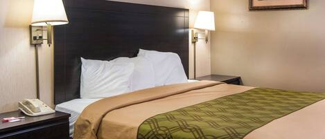 A hotel room with a large bed, two bedside lamps, a telephone, and a framed picture on the wall.