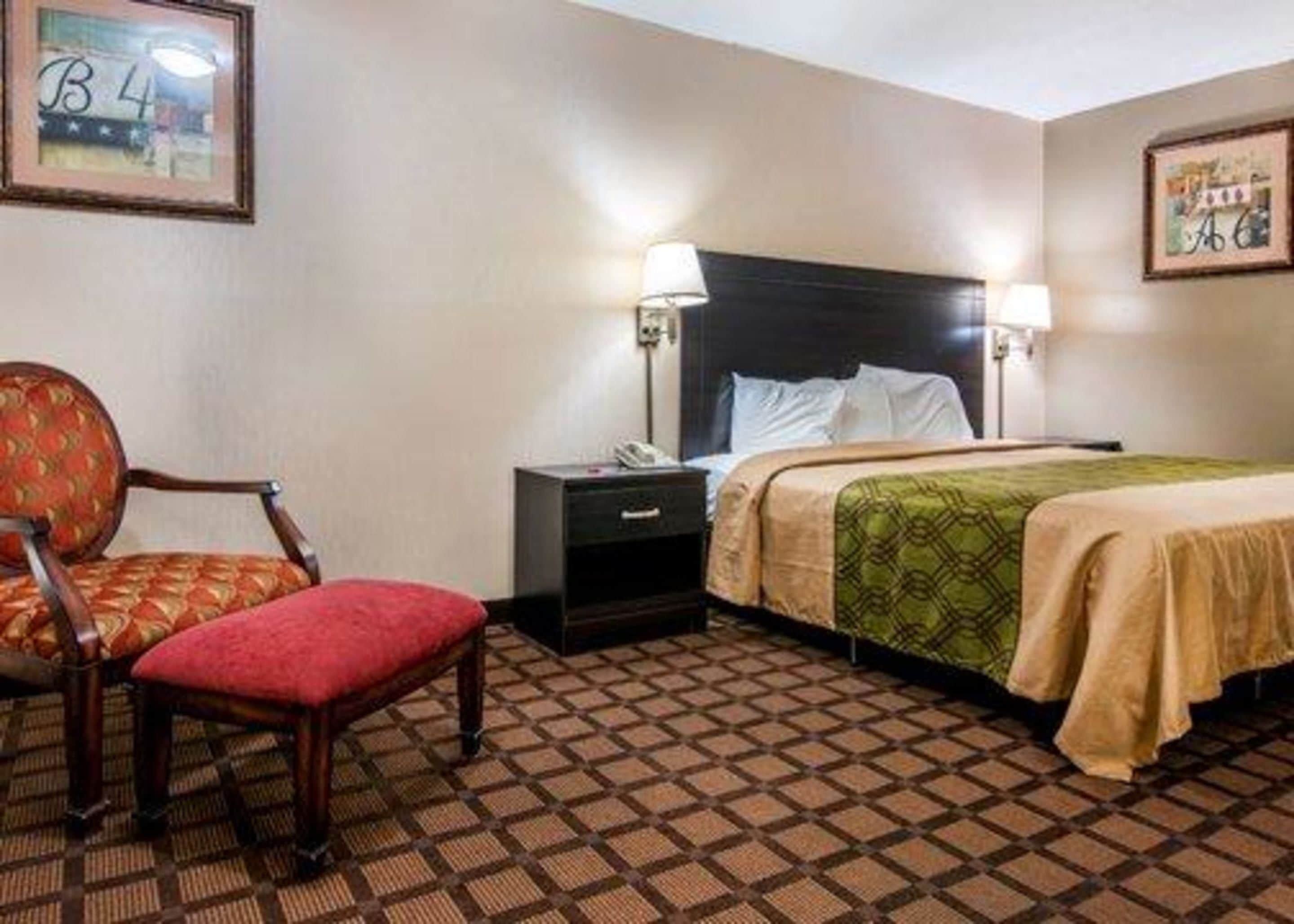 A hotel room with a bed, a chair, a nightstand, and a lamp.