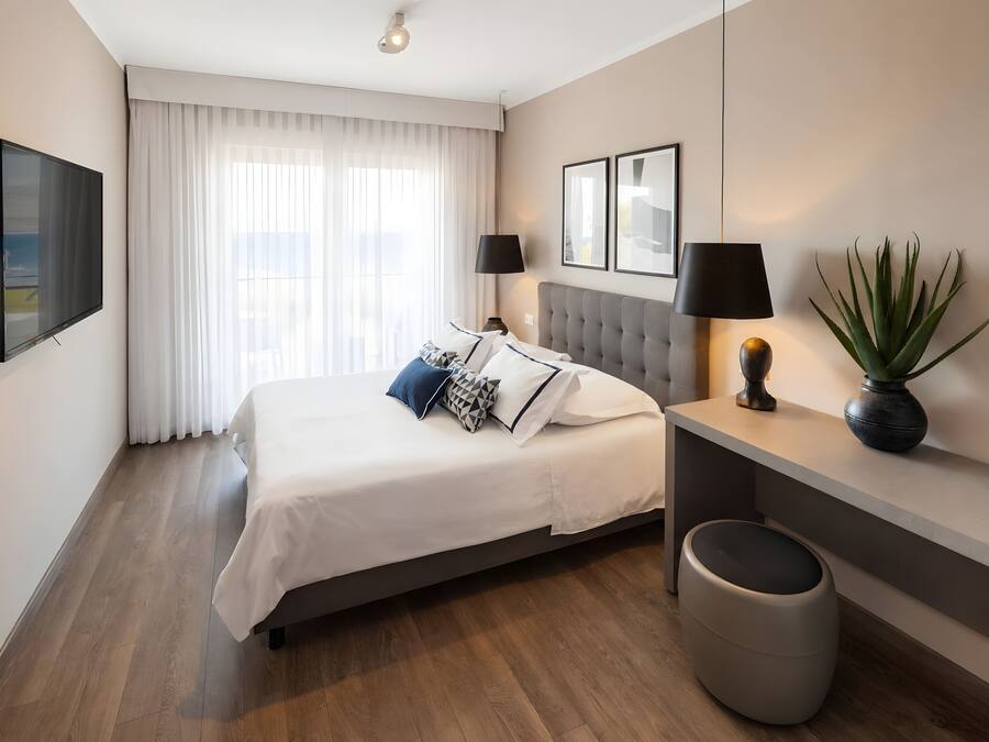 A hotel room with a bed, a desk, a TV, and a plant.