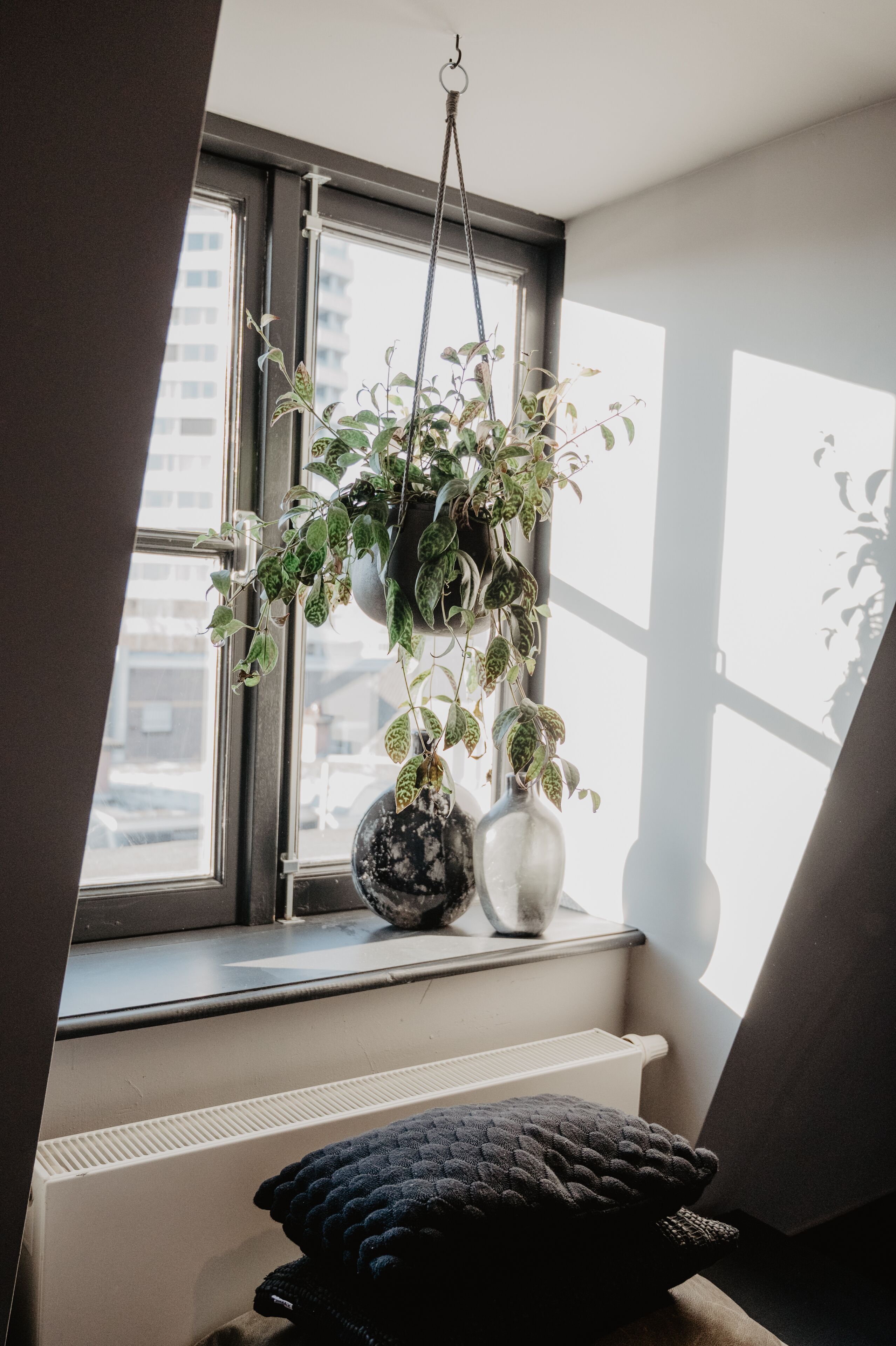 Foto - Mother Goose Hotel