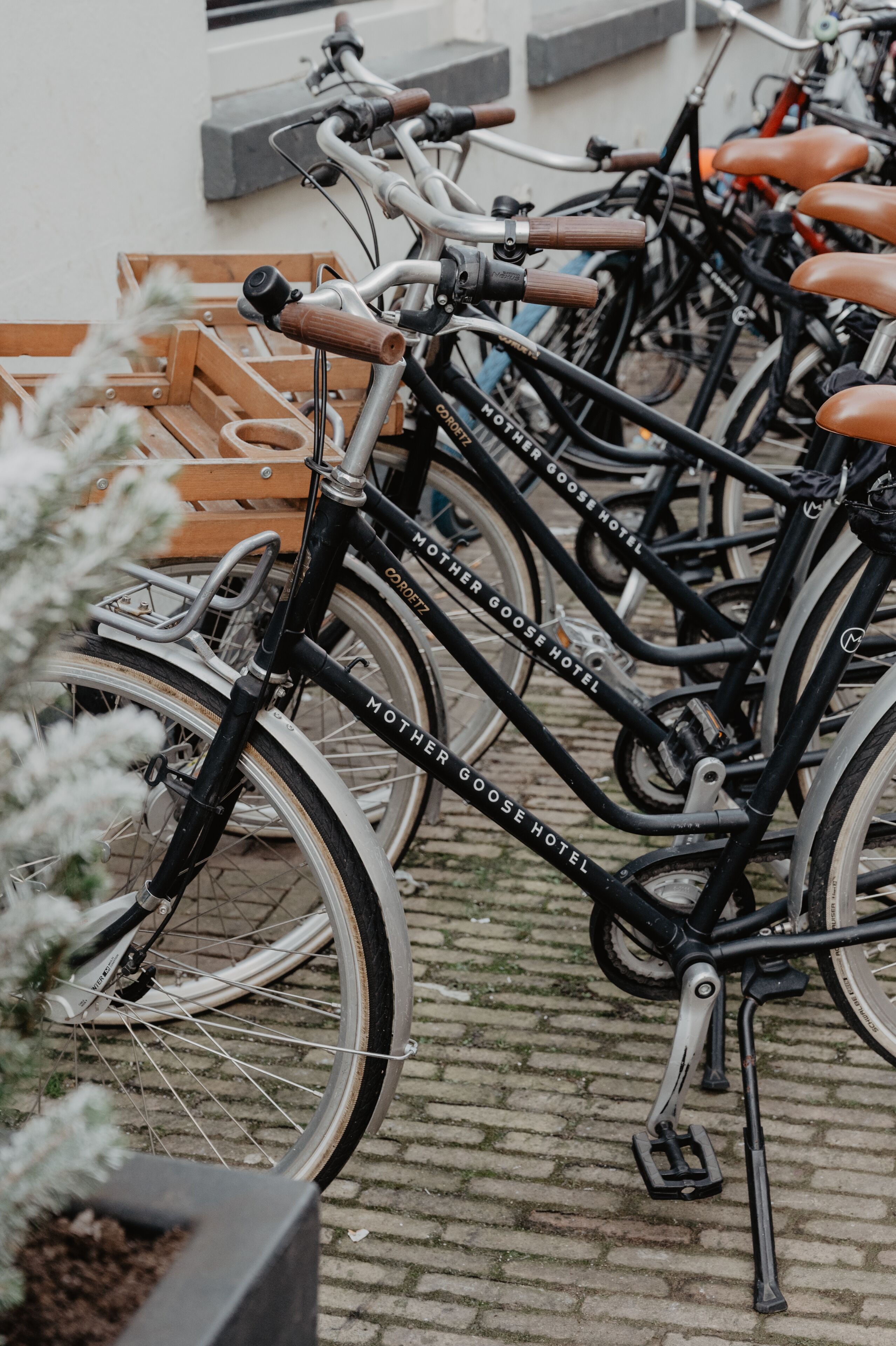 Foto - Mother Goose Hotel