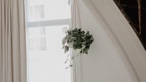 A room with a large window, a wooden staircase, and a hanging plant. - Mother Goose Hotel (Utrecht)