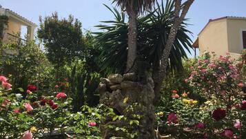 Jardín