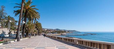 Un paseo bordeado de palmeras, un camino de baldosas y vistas al mar.