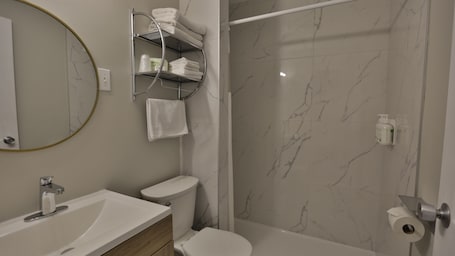 Shower, hair dryer, towels. Diplomat Motel