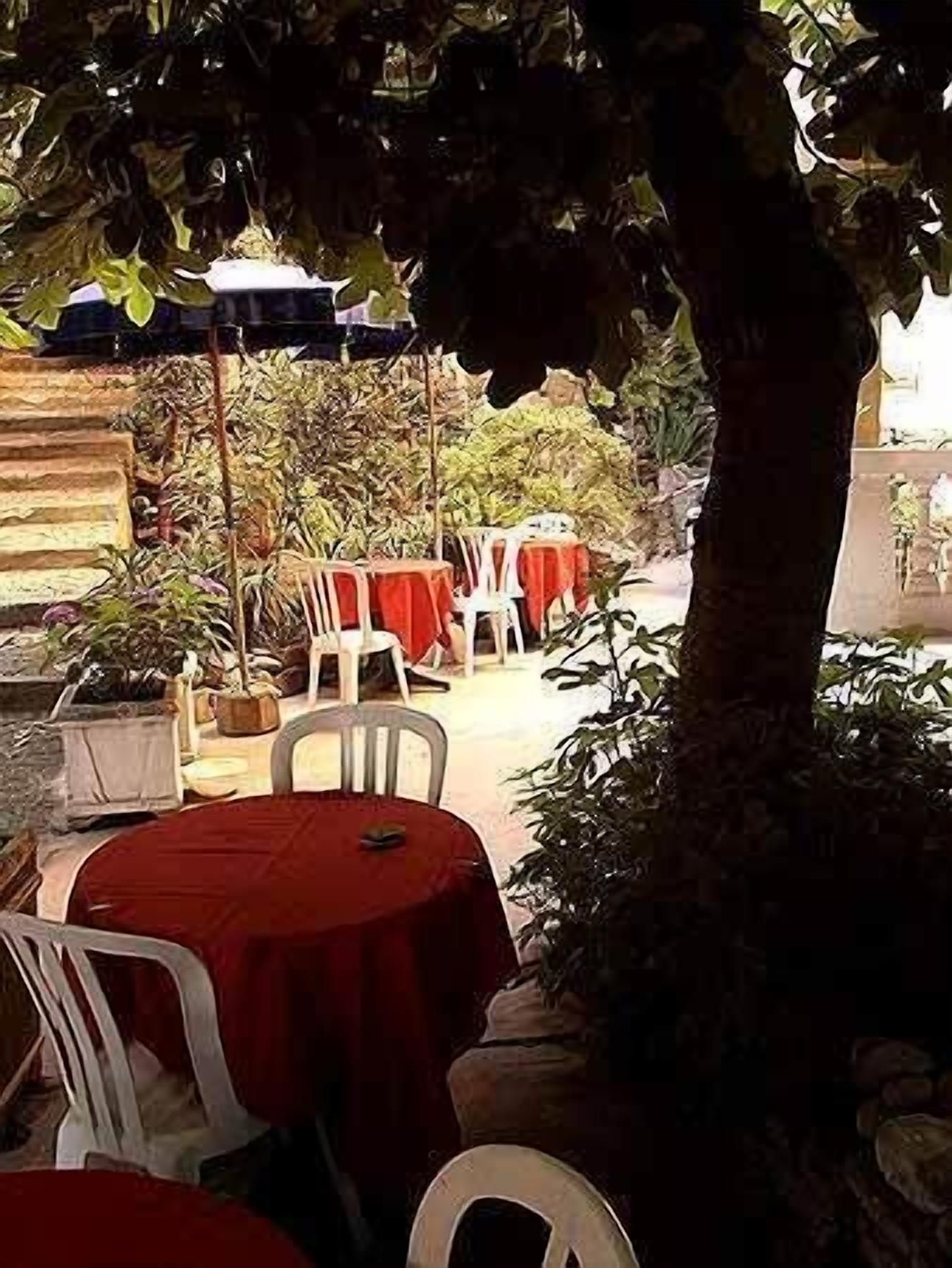 Un área de comedor al aire libre con mesas y sillas, rodeada de plantas y una valla de madera.