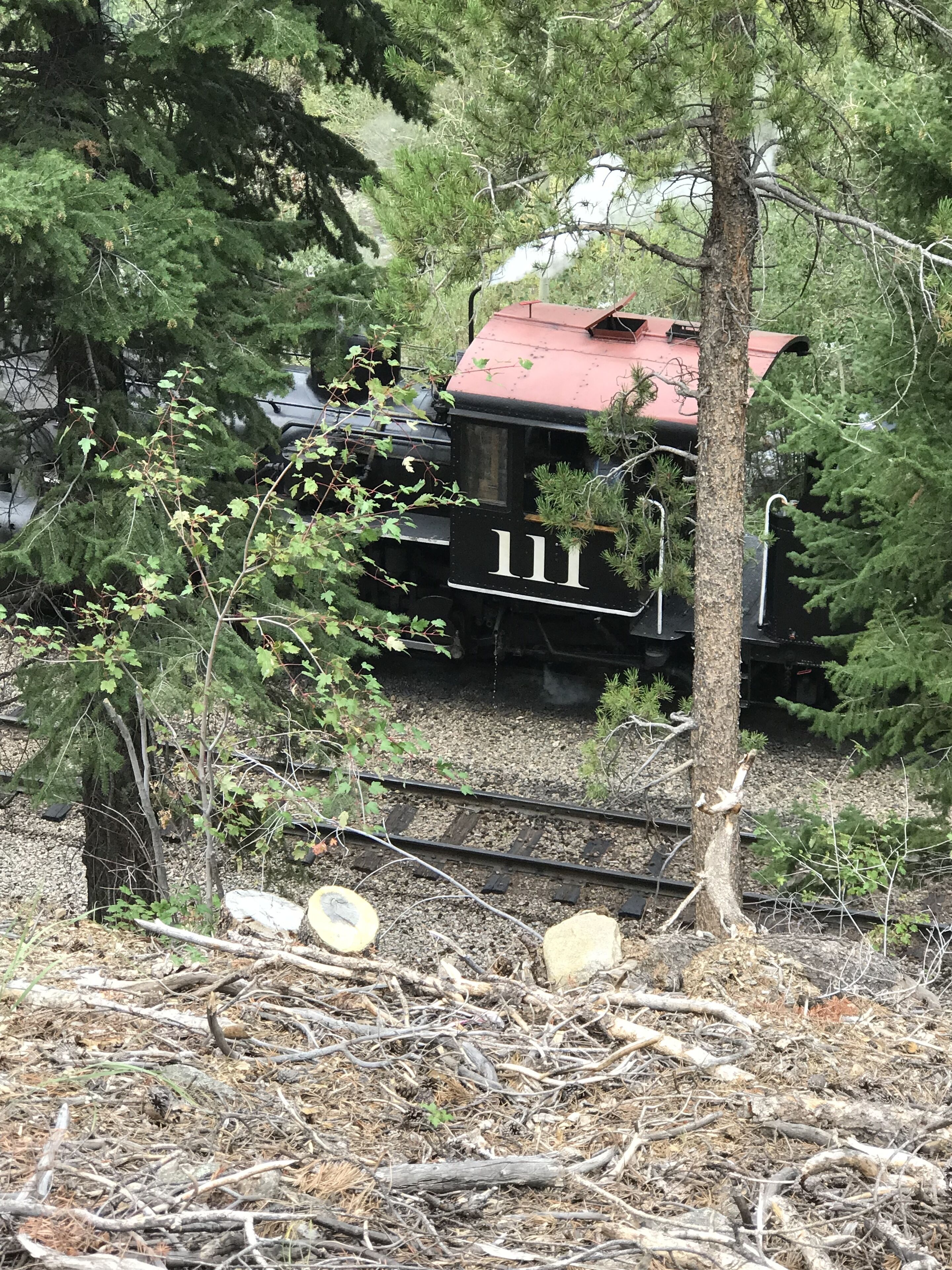 Un train portant le numéro 111 circule sur une voie ferrée bordée d’arbres et de végétation.