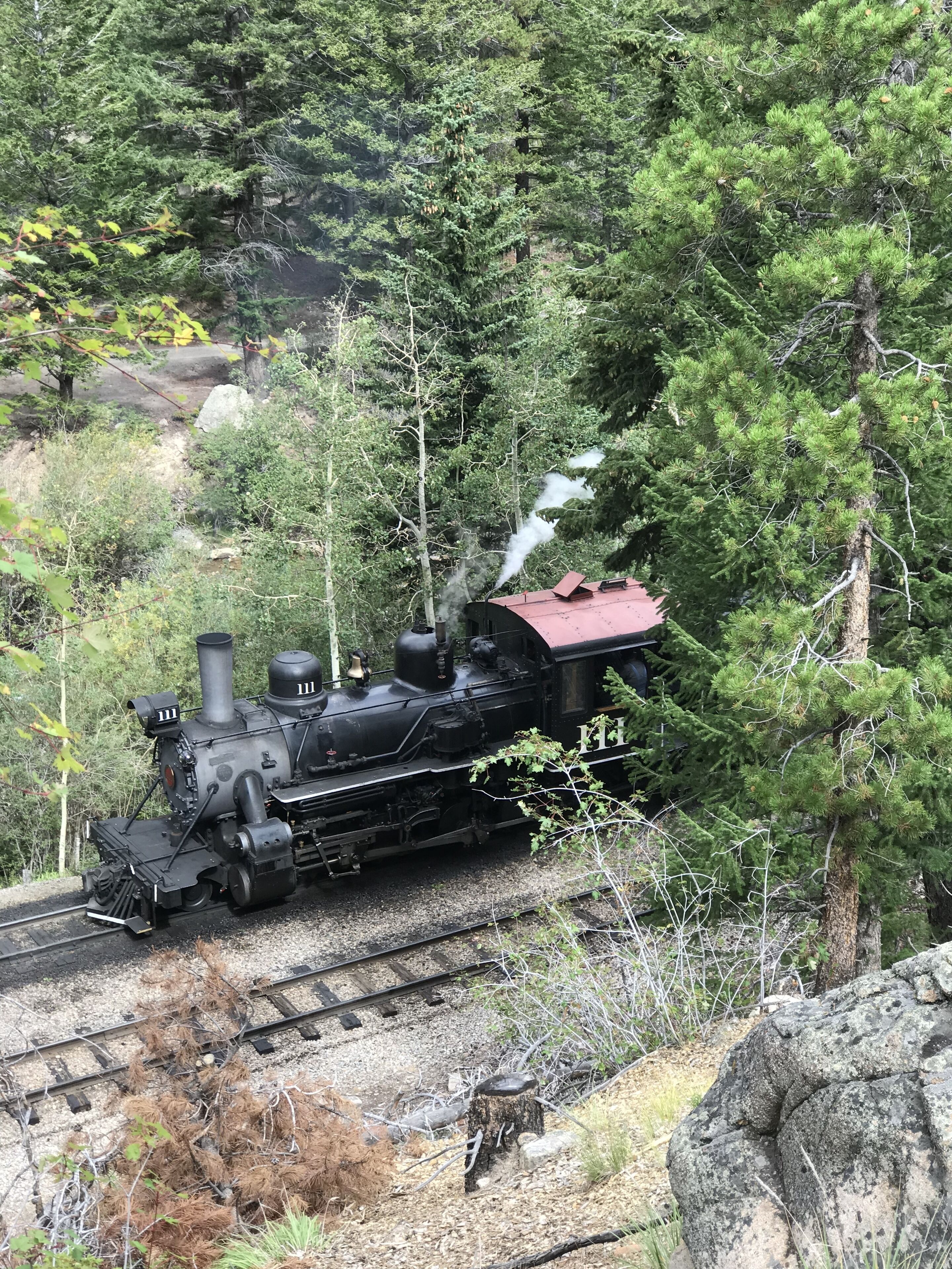 Eine dampflokomotive mit rotem Dach fährt durch ein bewaldetes Gebiet.