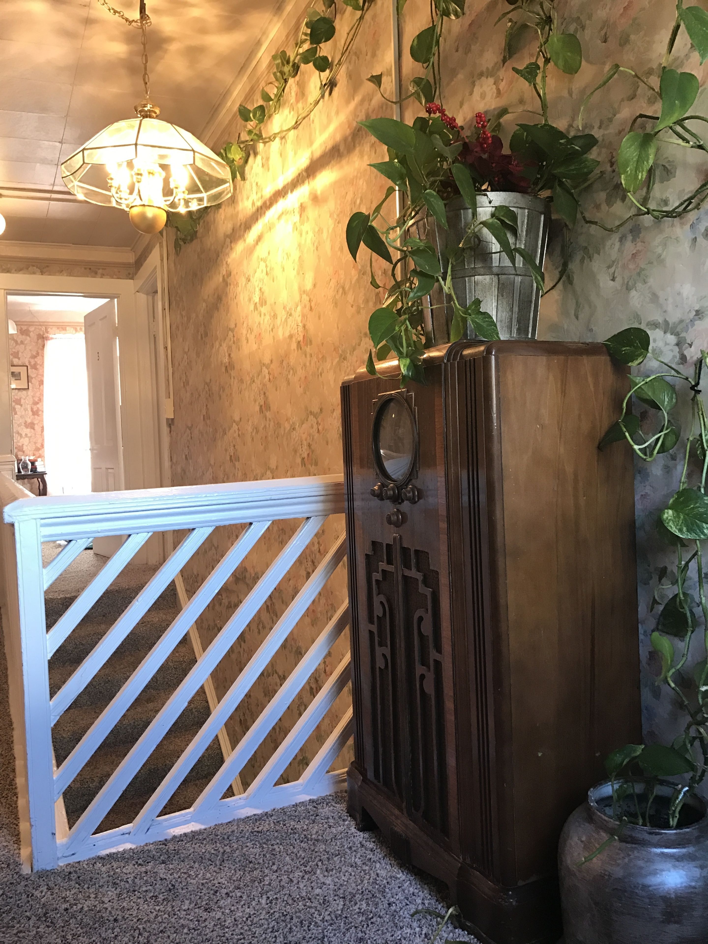 Un meuble en bois abritant une radio, une porte blanche et des plantes en pot, dans une pièce aux murs texturés et aux luminaires suspendus.
