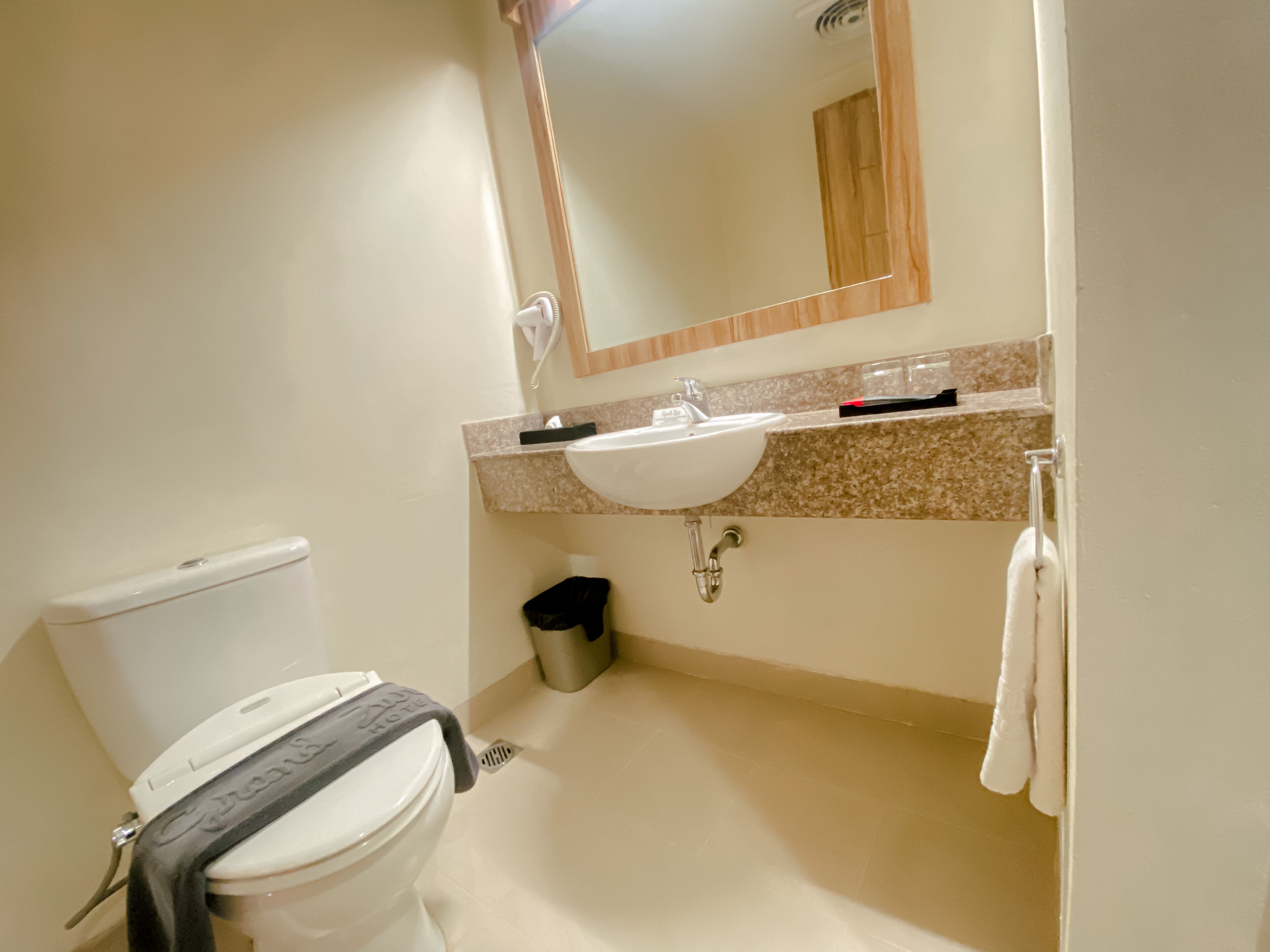 A bathroom with a toilet, sink, mirror, and towel rack.
