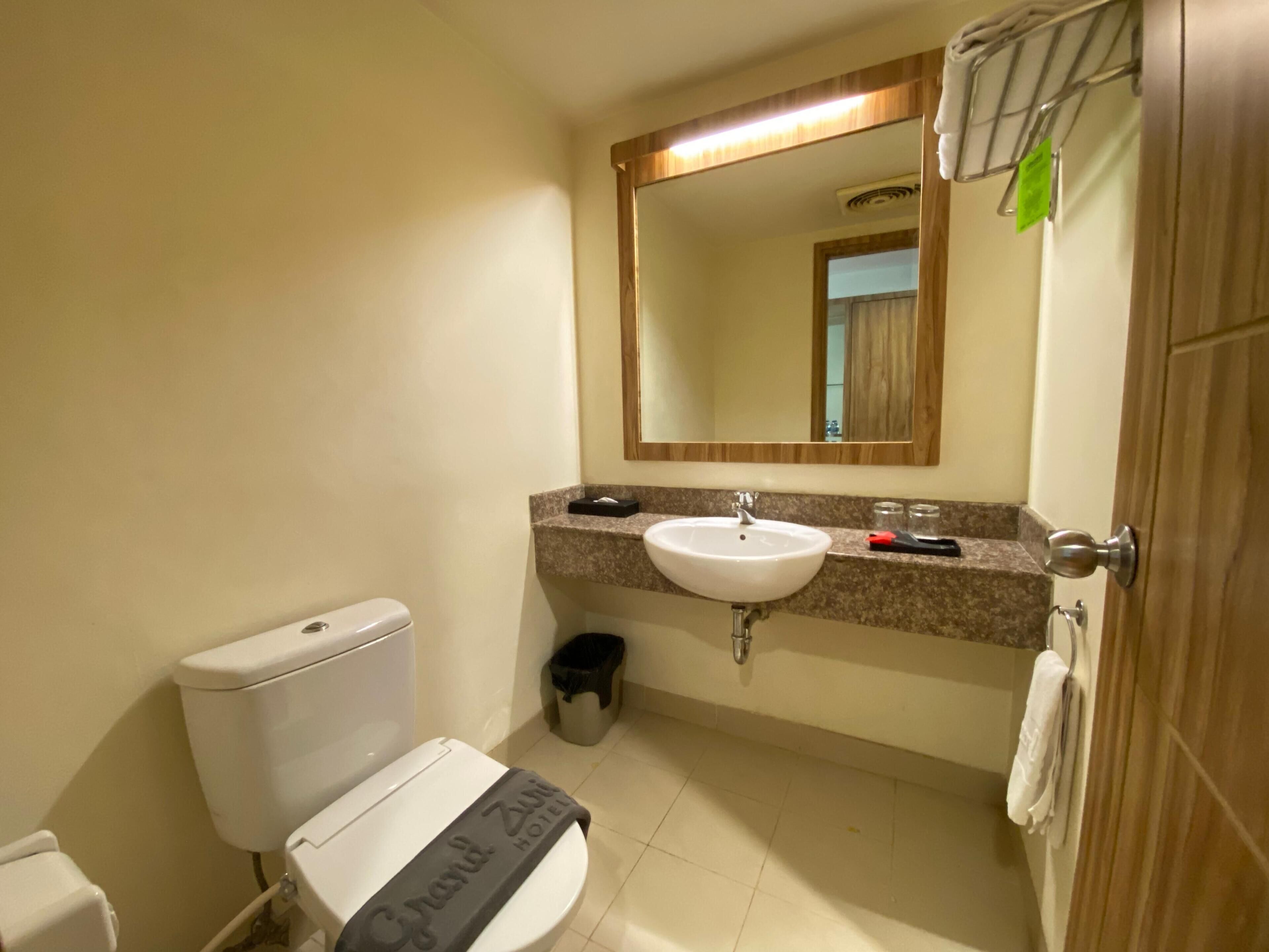A bathroom with a toilet, sink, mirror, and towel rack.