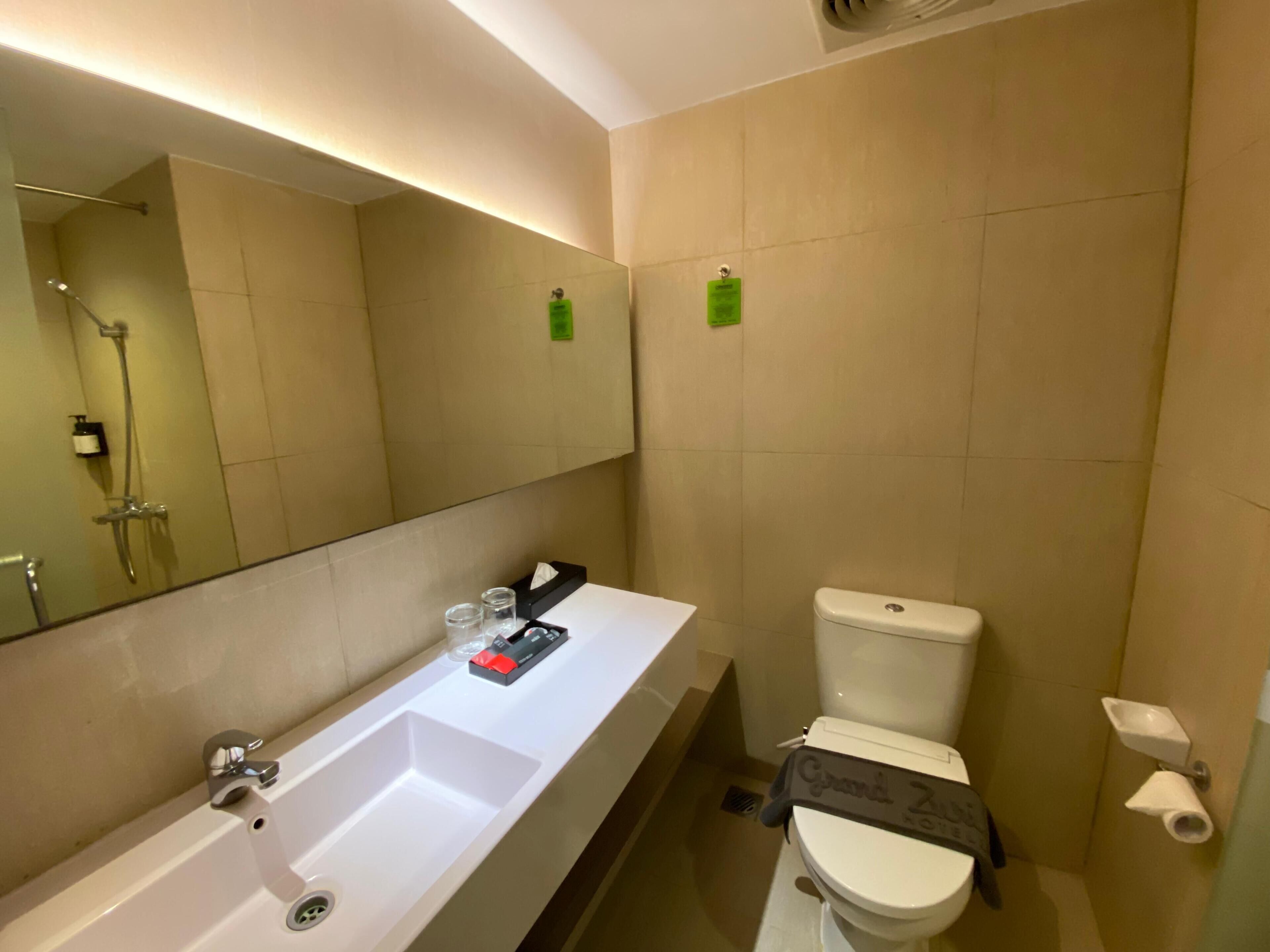 Habitación ejecutiva doble | Baño | Artículos de higiene personal gratuitos, zapatillas, bidé y toallas