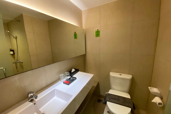 Habitación ejecutiva doble | Baño | Artículos de higiene personal gratuitos, zapatillas, bidé y toallas