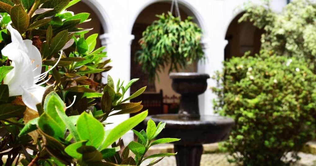 Foto - Hotel La Plazuela