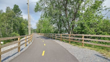 A paved pathway with a wooden railing, surrounded by trees and gravel.