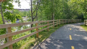 Un sendero pavimentado con una cerca de madera a un lado, rodeado de vegetación y árboles.