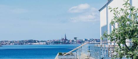 A waterfront view with a wooden deck, a building with a blue railing, and a distant cityscape including a church spire.