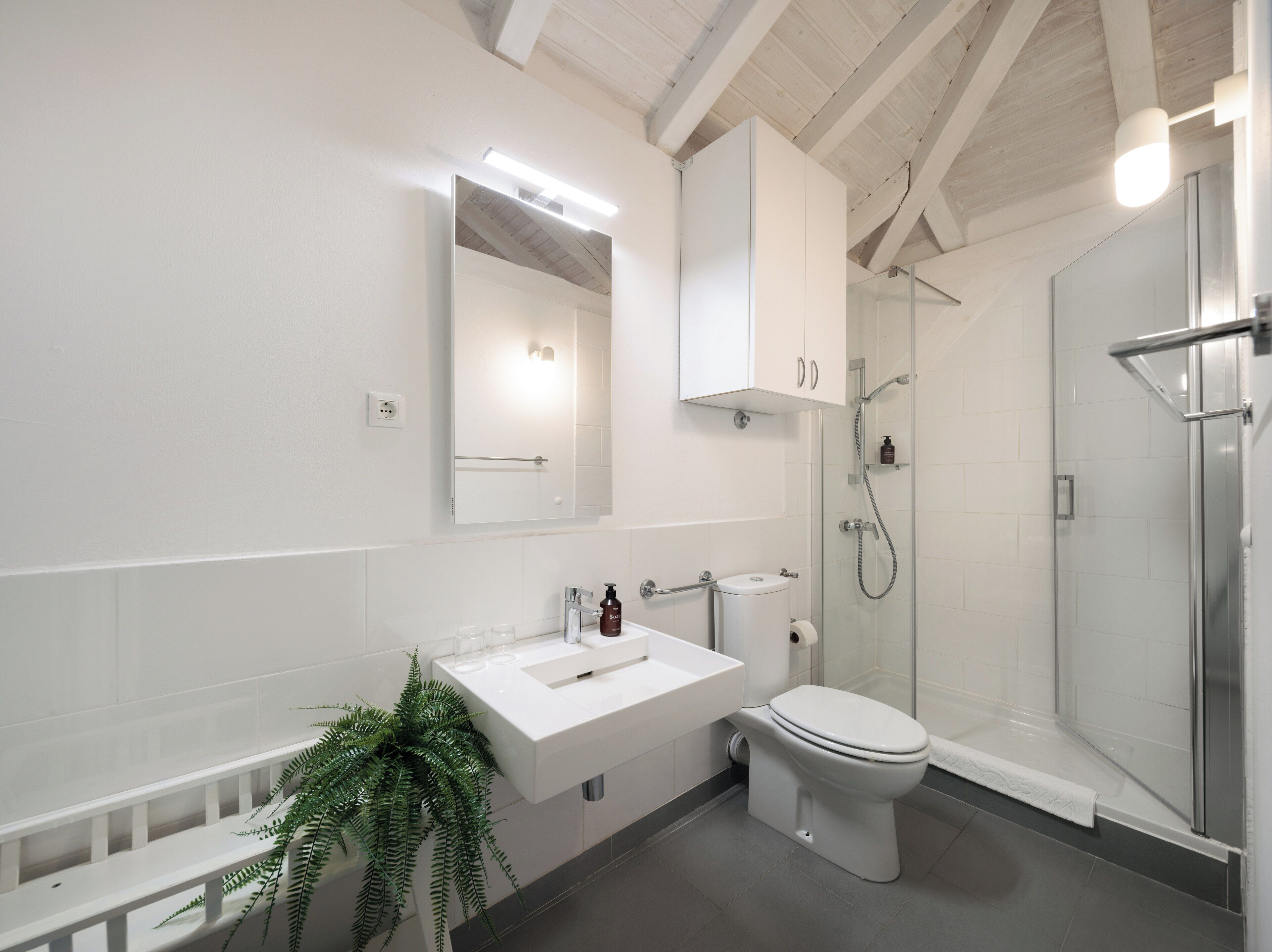 Une salle de bain moderne avec un lavabo, des toilettes et une douche, le tout de couleur blanche. Un miroir est placé au-dessus du lavabo et une plante se trouve sur le sol.