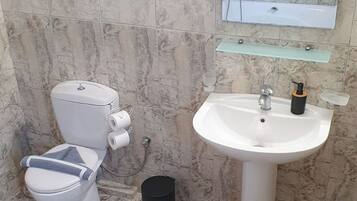 A bathroom with a toilet, sink, and mirror.