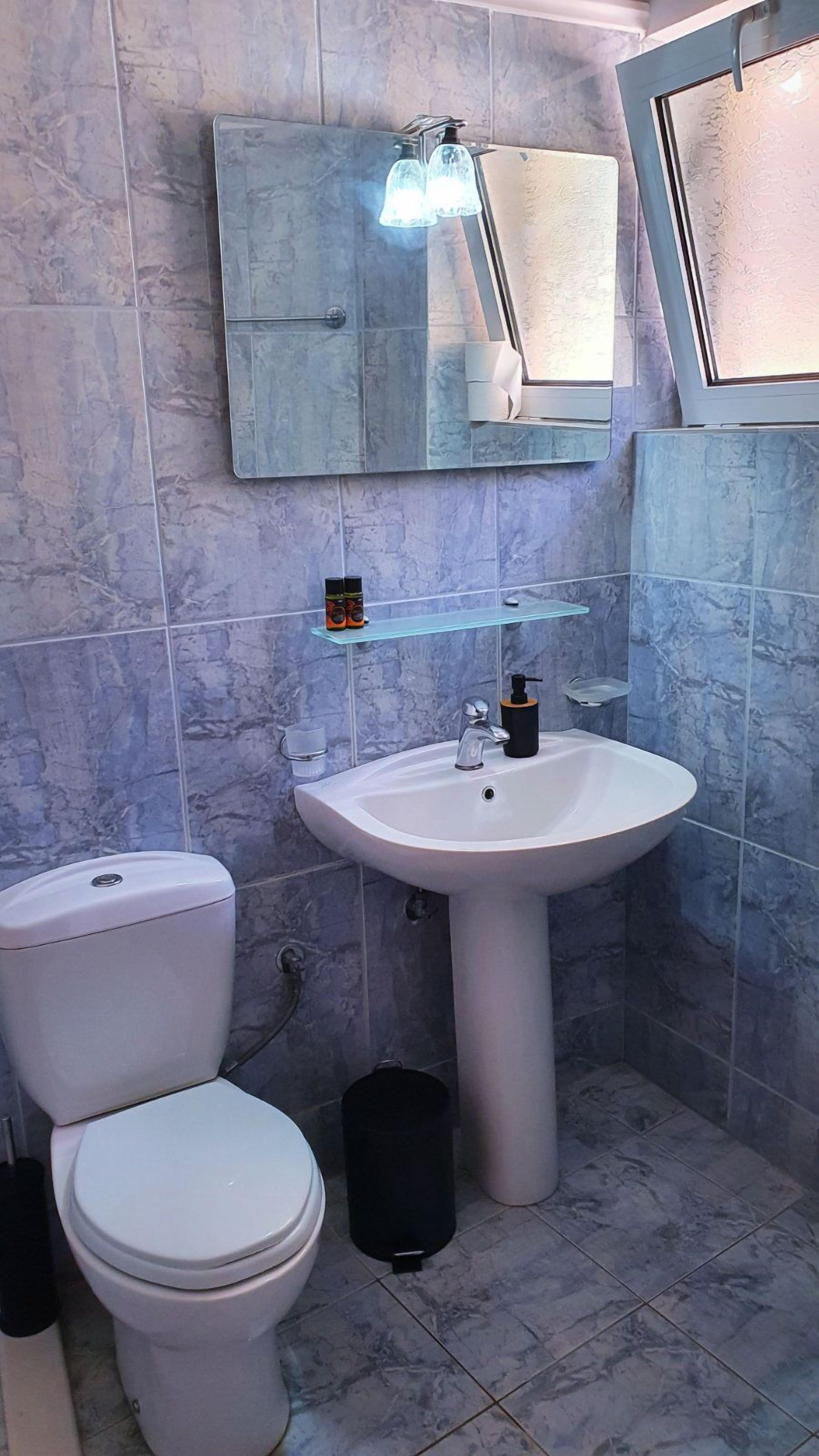 A bathroom with a white toilet, a pedestal sink, and a mirror above the sink.
