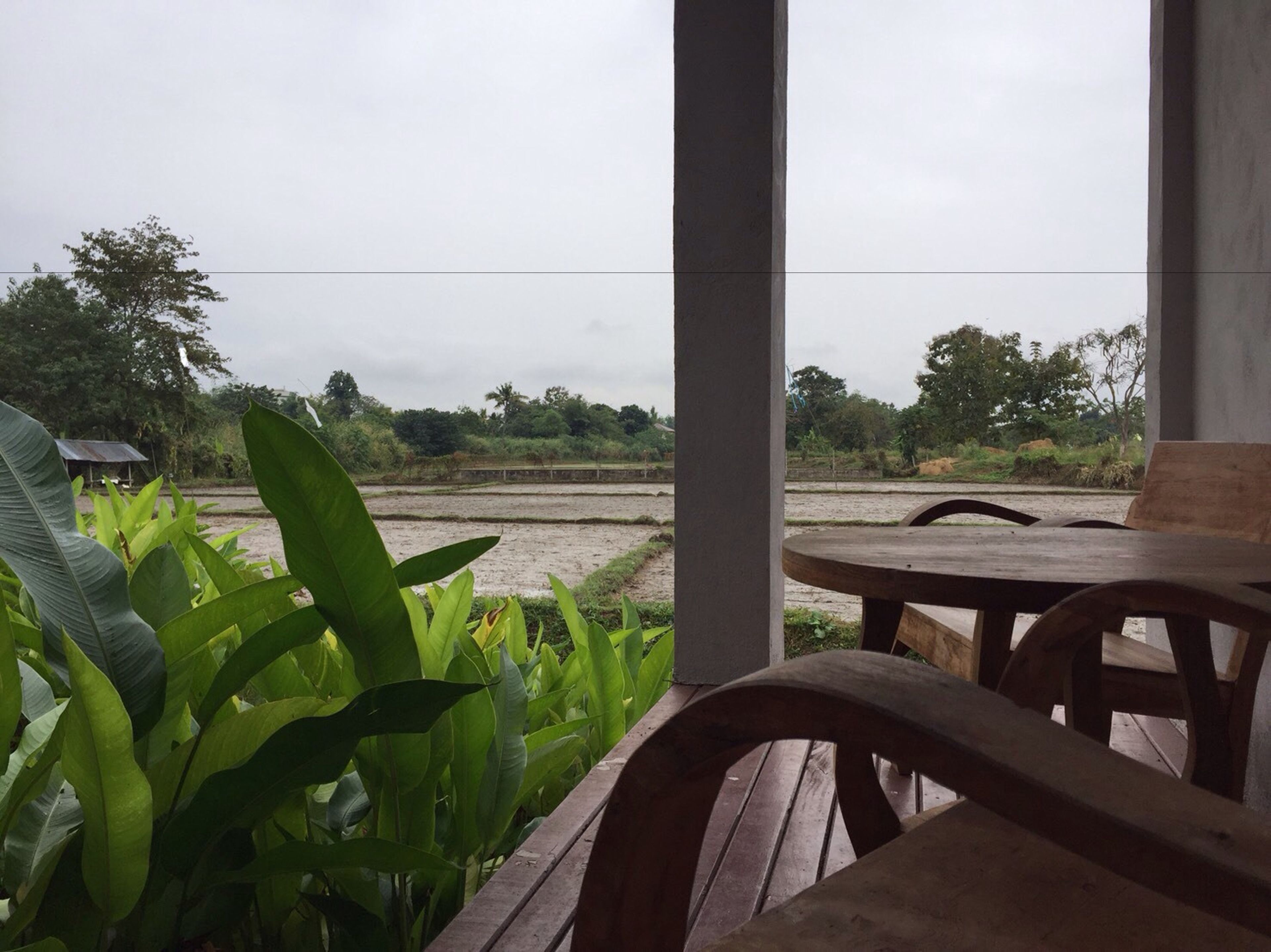 Teras/patio