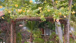 Un sendero en un jardín que conduce a una estructura con una pérgola cubierta de flores amarillas.
