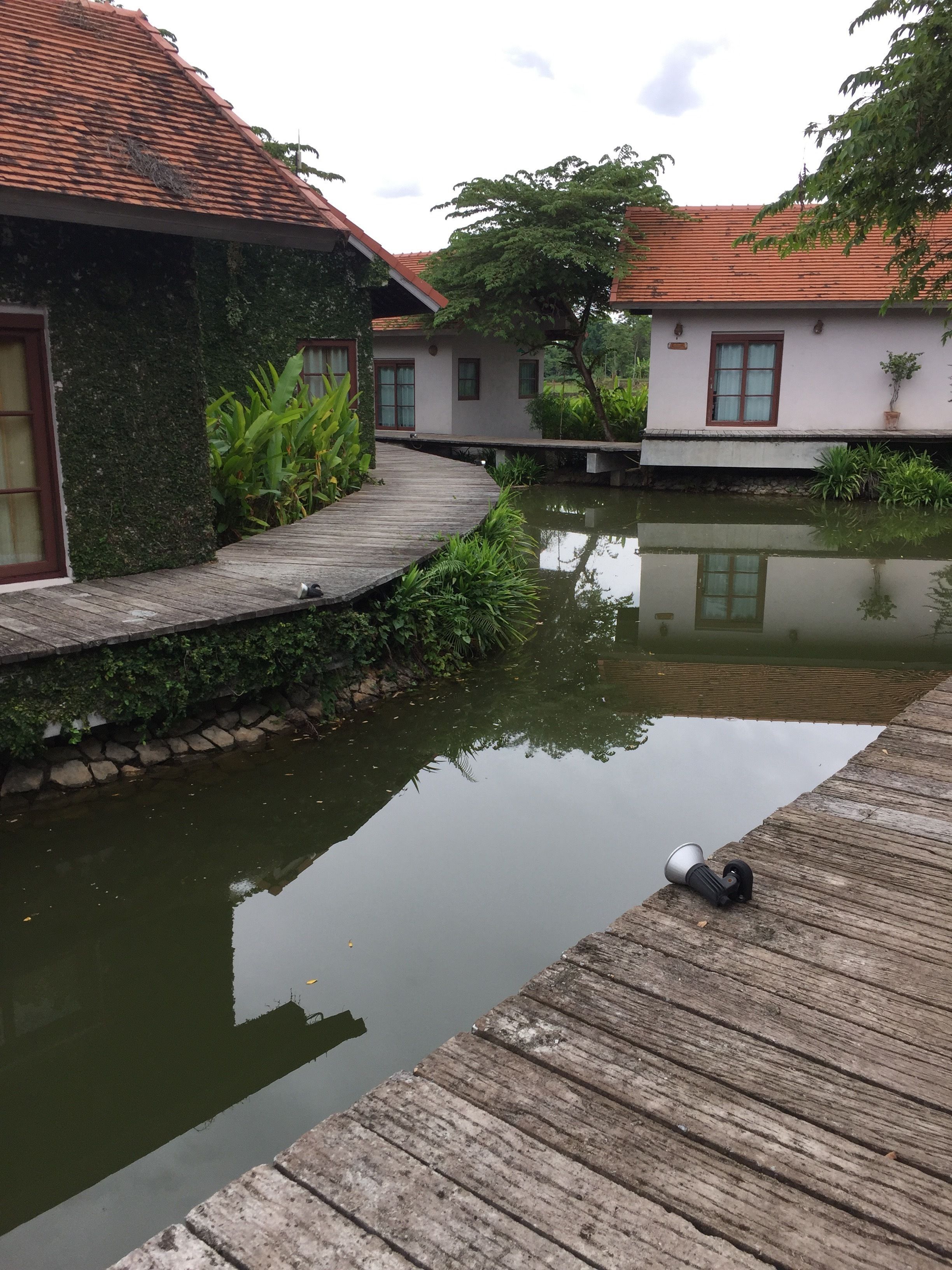 A wooden dock extending over a calm water body, with a house featuring a tiled roof and a small garden area.