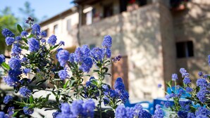 A building with a stone facade and multiple windows. - Agriturismo San Galgano (Chiusdino)
