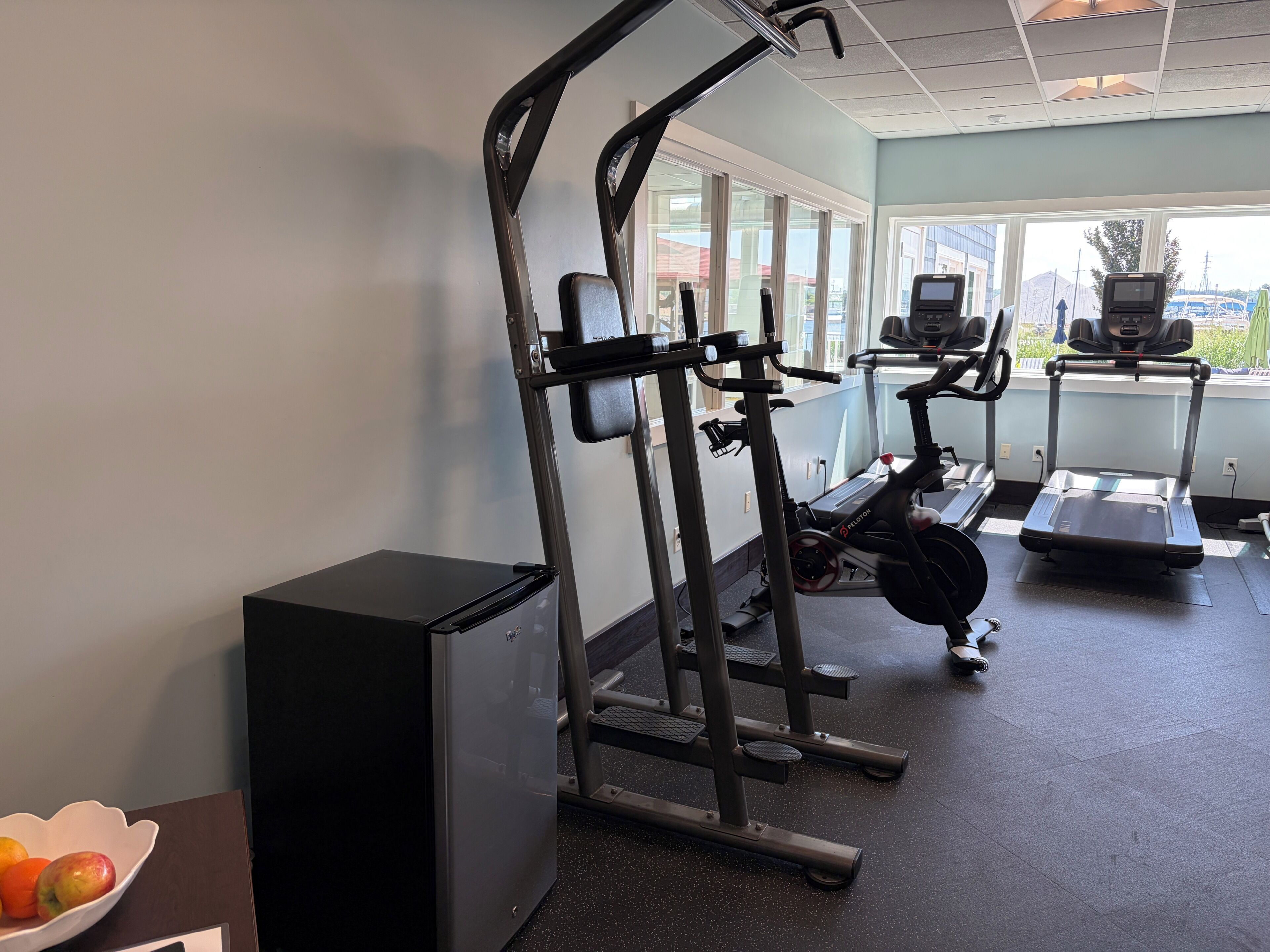 A gym with cardio machines, a weight bench, and a small refrigerator.