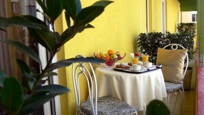 A table set with breakfast items, a chair, and a plant in a yellow room.