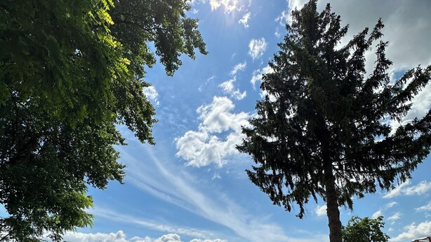 Une zone au bord du lac, aménagée avec des chaises longues et des bateaux, entourée d’arbres et offrant une vue sur un ciel dégagé.