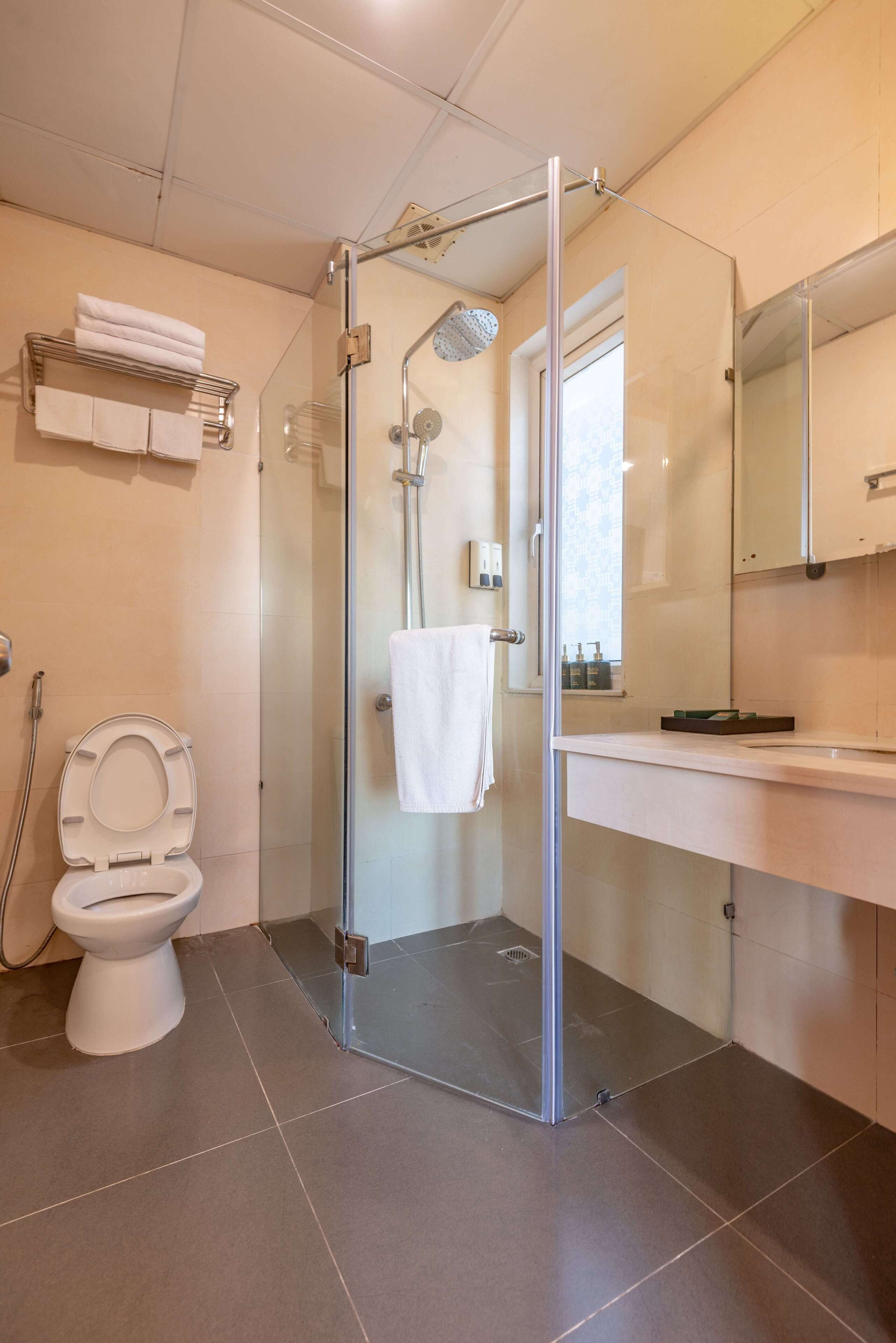 A modern bathroom with a glass-enclosed shower, a toilet, and a vanity with a mirror.