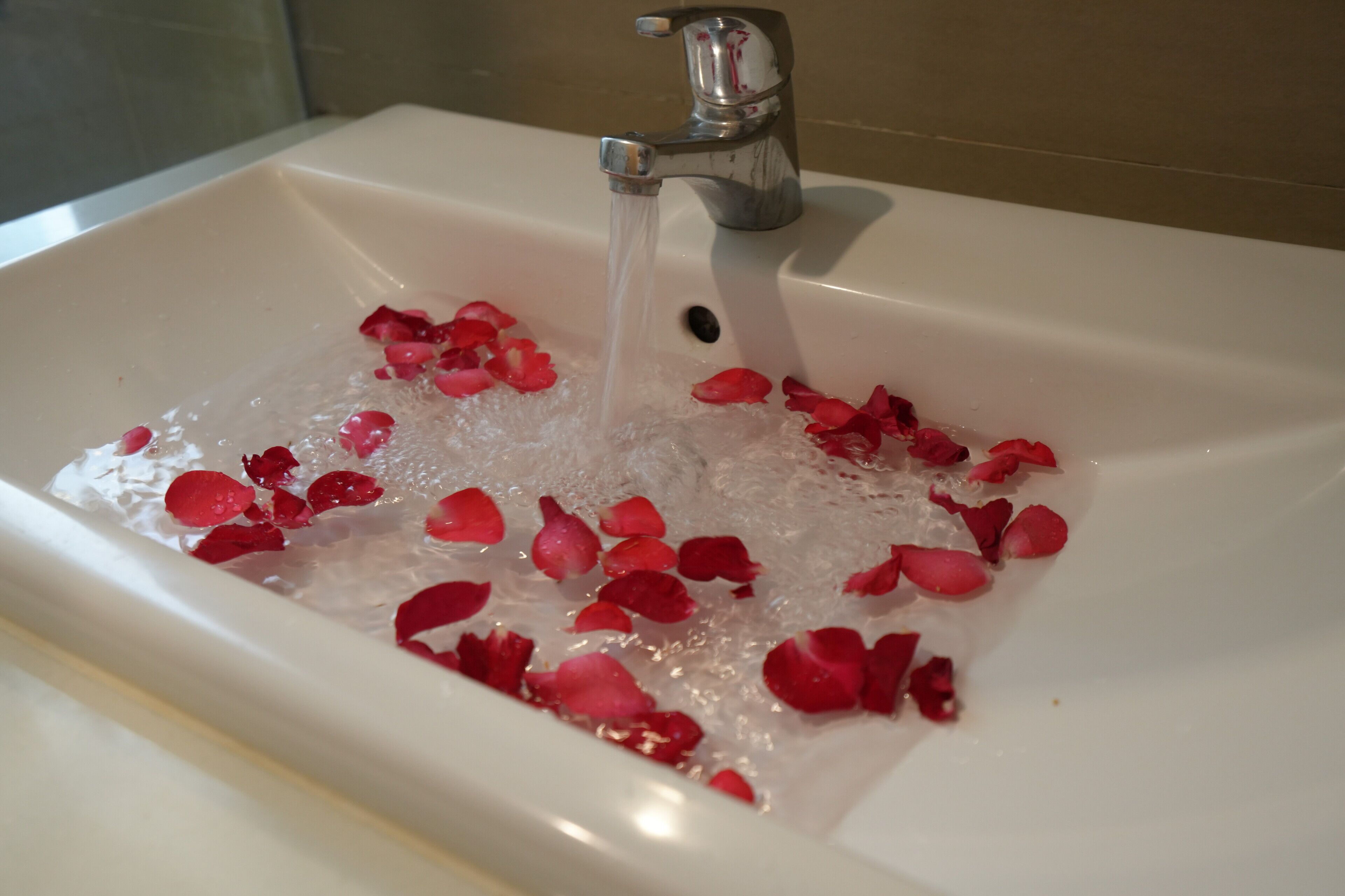 family studio suite | bathroom | shower, hydromassage showerhead, free toiletries, hair dryer