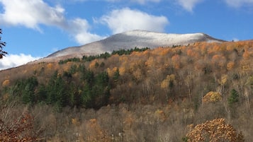 Vista a la montaña