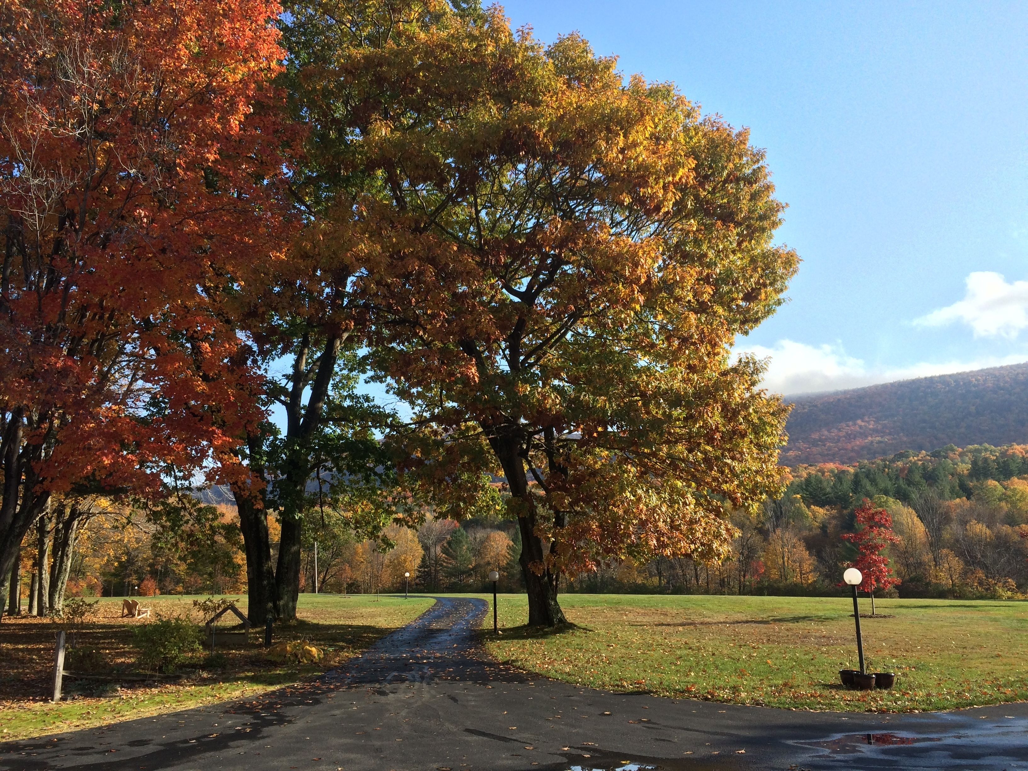 A paved path leading through a park with autumn-colored trees and a grassy field.