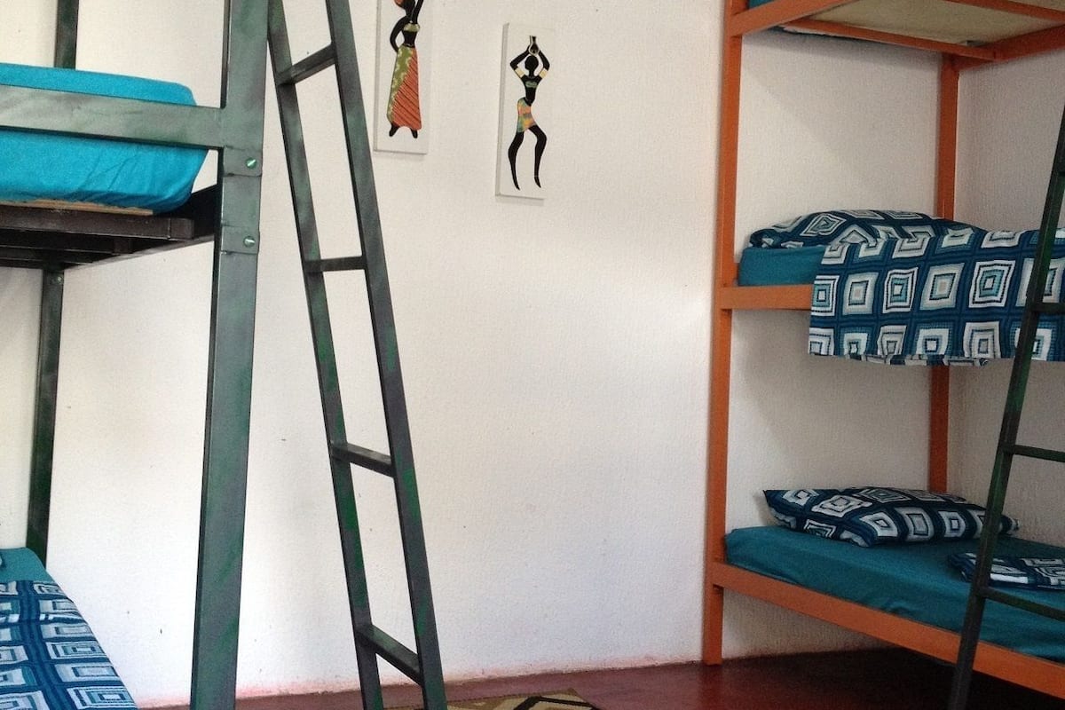 A dormitory room with bunk beds, a ladder, and a patterned rug.