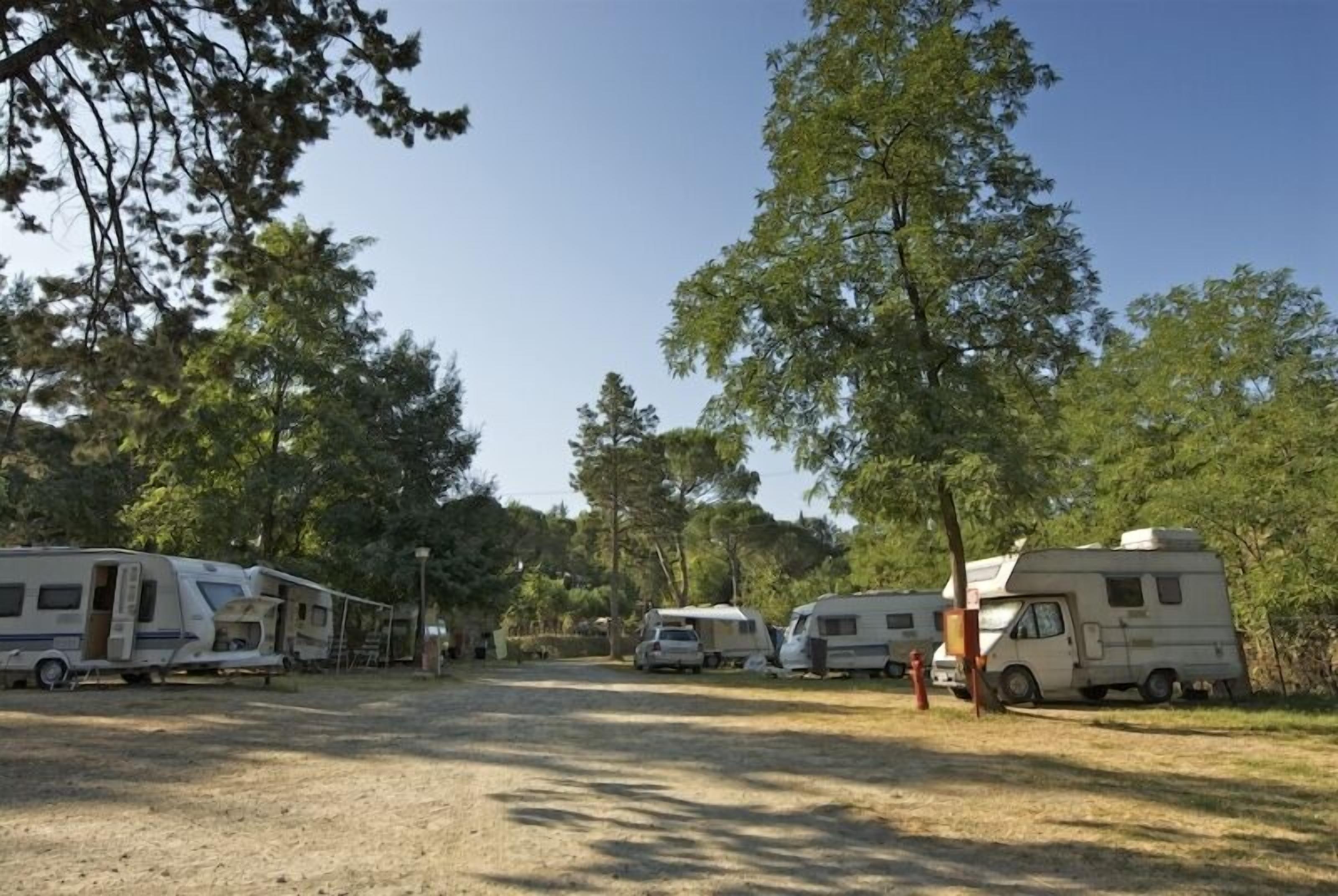A campsite with RVs parked in a clearing surrounded by trees.