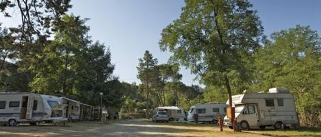 A campsite with RVs parked in a clearing surrounded by trees.